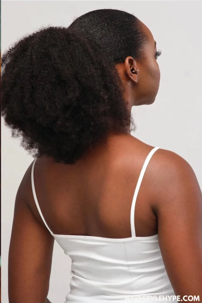 Mini Puff Ponytails